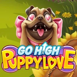 Go High Puppy Love game by RubyPlay – logo hosted on Gambloria Casino